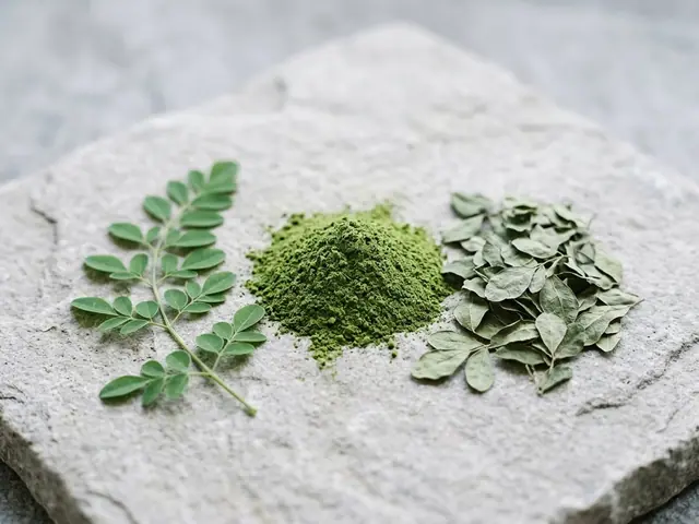Kurutulmuş moringa yaprakları ve ahşap kaşıkta ince yeşil moringa tozu, nötr stüdyo arka planı